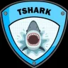 Traffic Analysis: TSHARK Unleashed